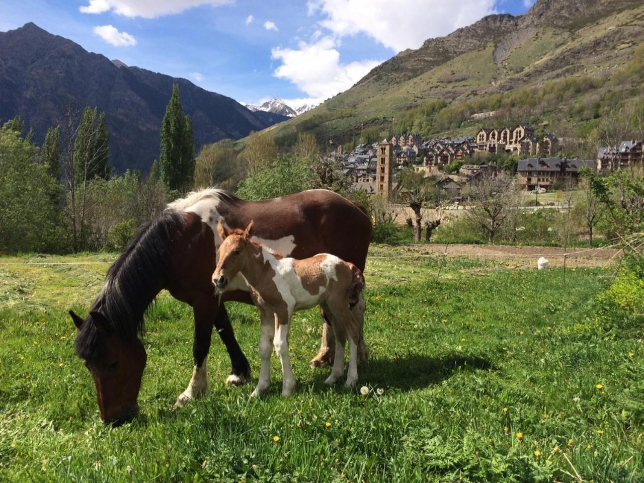 Hostal Rural Sant Climent Taull Bagian luar foto